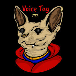 Voice Tag
