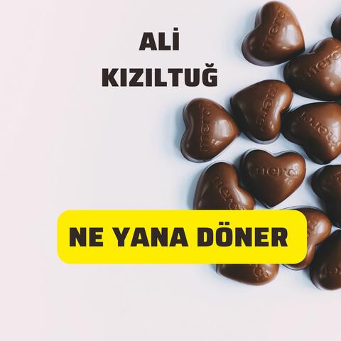 Ne Yana Döner