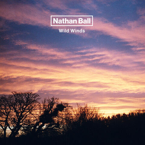 Wild Winds