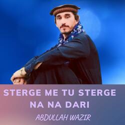 Sterge Me Tu Sterge Na Na Dari