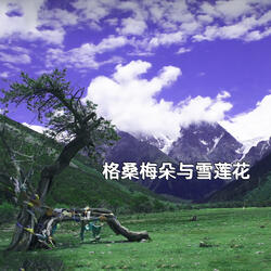 格桑梅朵与雪莲花
