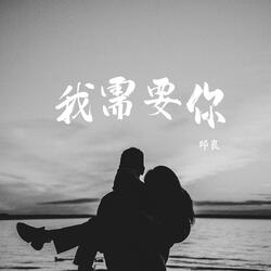 我需要你