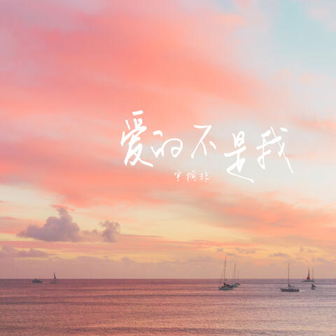愛的不是我