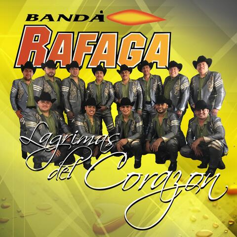 Lagrimas Del Corazon