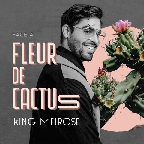Fleur de cactus