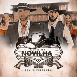 Lote de Novilha