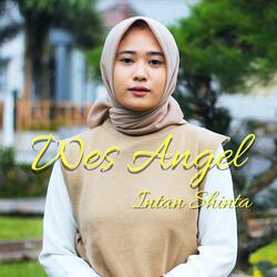 Wes Angel