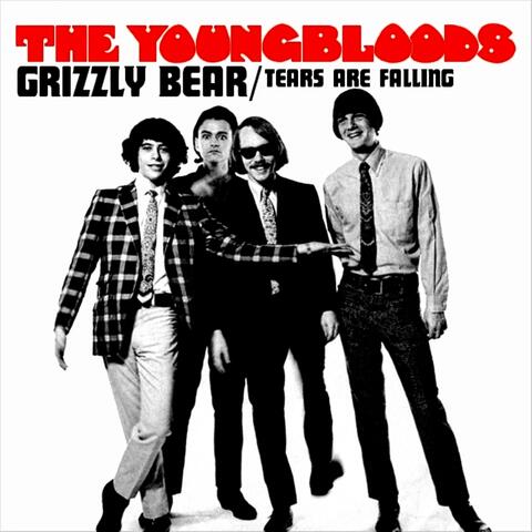 Grizzly Bear / Tears Are Falling