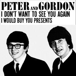 I Don't Want to See You Again