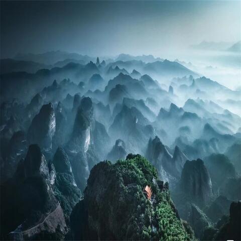 雨声助眠：大自然森林物语，蝉鸣，雨声，舒缓放松助眠纯音乐