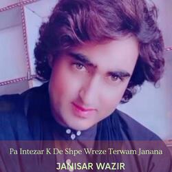 Pa Intezar K De Shpe Wreze Terwam Janana