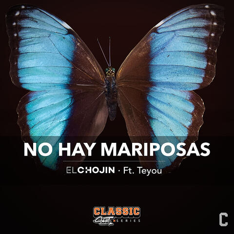 No hay mariposas
