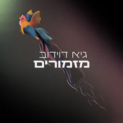 חלומות