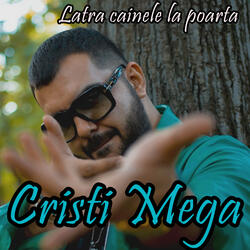 Latra cainele la poarta