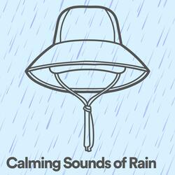 Calming Sounds of Rain, Pt. 29