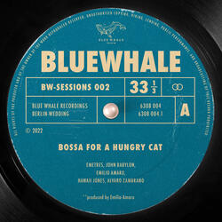Bossa for a hungry cat