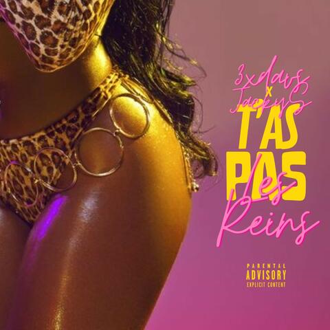 T'AS PAS LES REINS