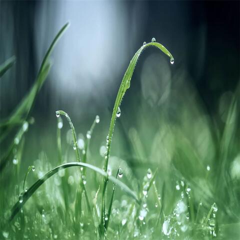 白噪音下雨声：助眠减压 深度睡眠大自然下雨声