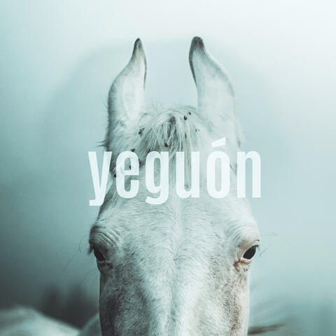 Yeguón