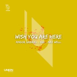 Wish You Are Here