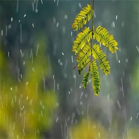 深度睡眠催眠曲：大自然下雨声 流水声白噪音催眠曲