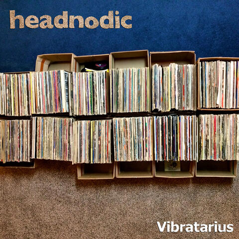 Vibratarius