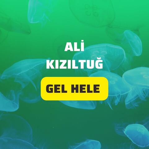 Gel Hele