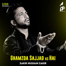Ghamzda Sajjad as Hai