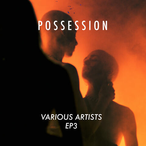 Various Artists 3