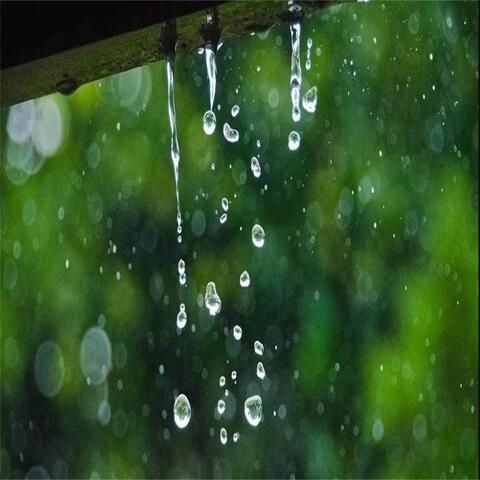 睡眠放松轻音乐：雨声助眠白噪音，催眠曲舒缓压力快速入睡