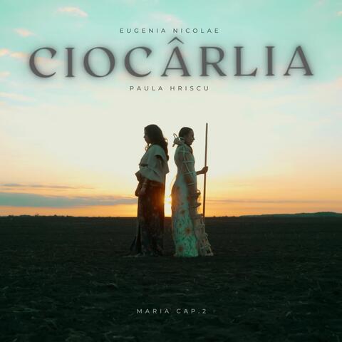 Ciocârlia