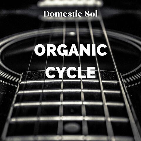 Organic Cycle