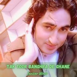 Tak Toor Banghra De Ghane