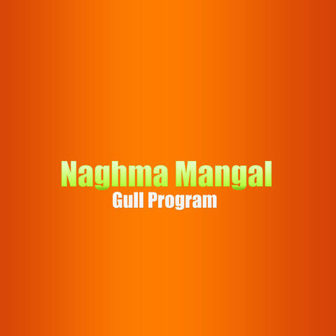 Gull Program