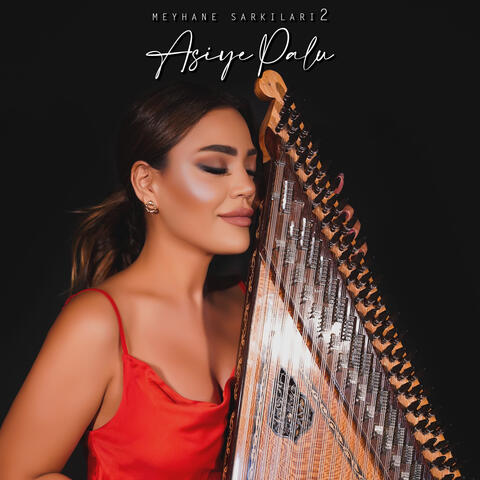 Meyhane Şarkıları 2