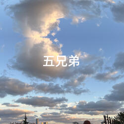 五兄弟