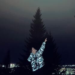 Пала звезда