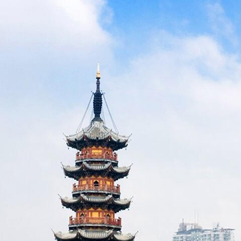 支援