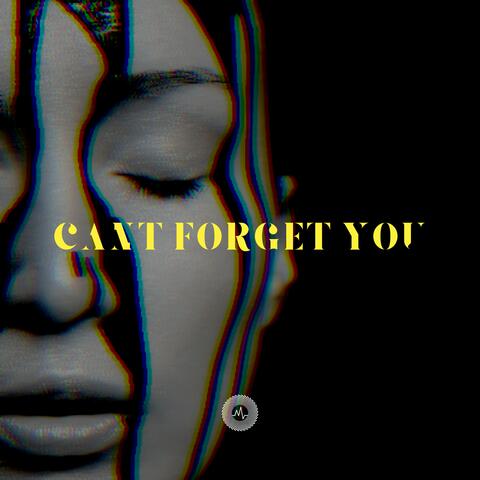 Can't Forget You