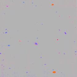 Выше облаков