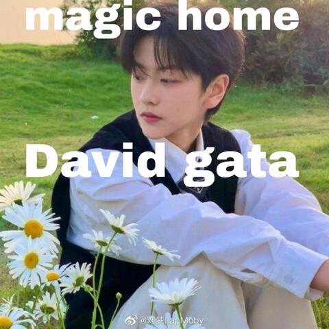 Magic Home