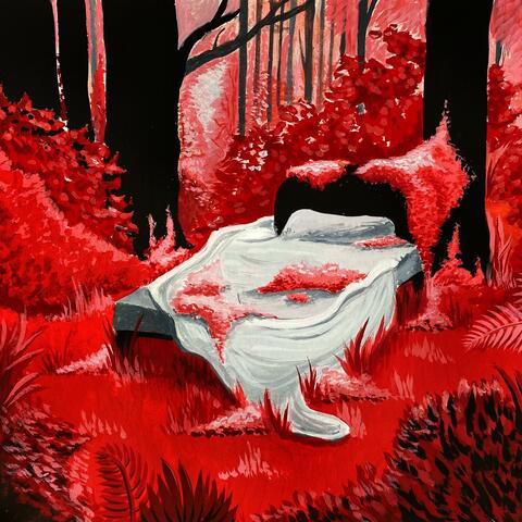 20 Hours in Bed