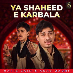Ya Shaheed E Karbala