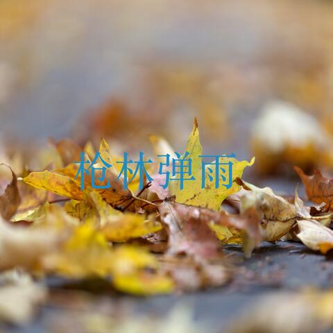 枪林弹雨