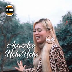 Aca Aca Nehi Nehi