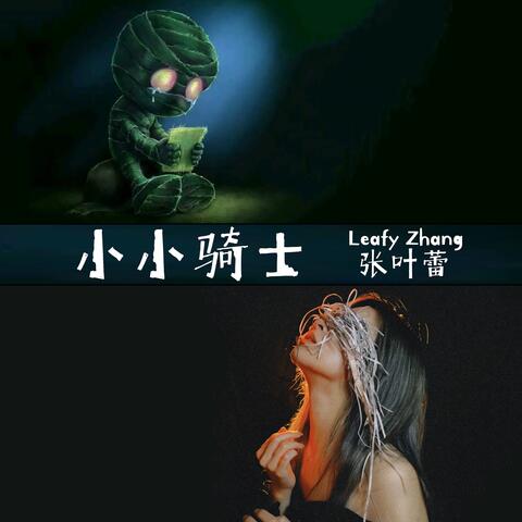 小小骑士