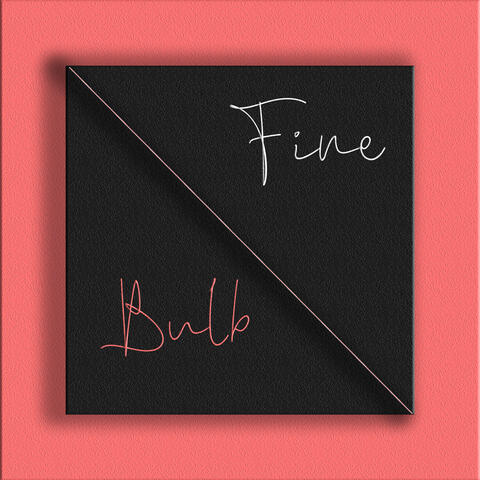 Fine