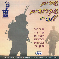 בלילה על הדשא