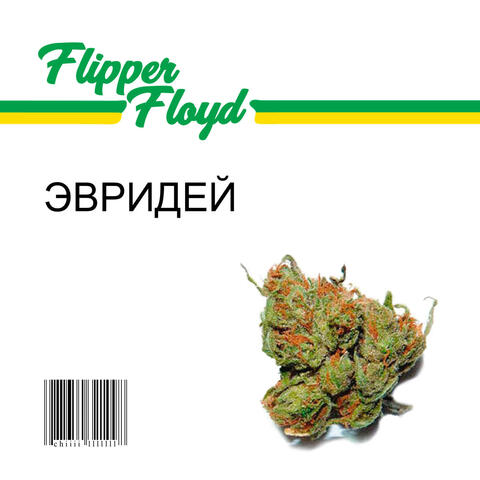 ЭВРИДЕЙ