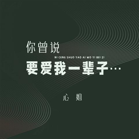 你曾说要爱我一辈子